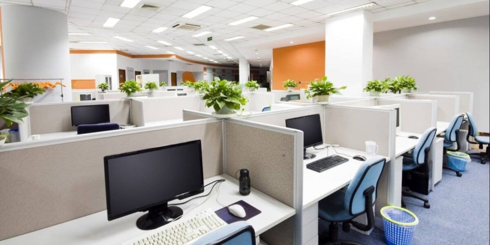 Signs That You Should Consider an Office Renovation